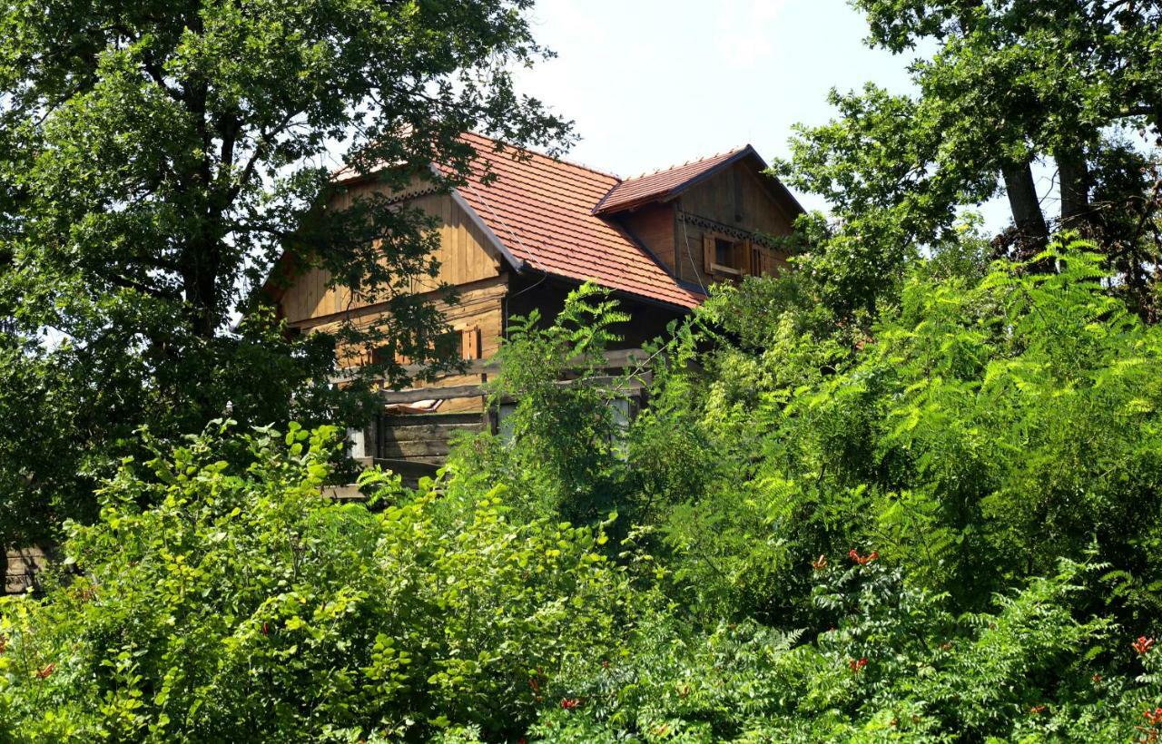 Kuca Suncani Brijeg Pokupsko Exteriér fotografie